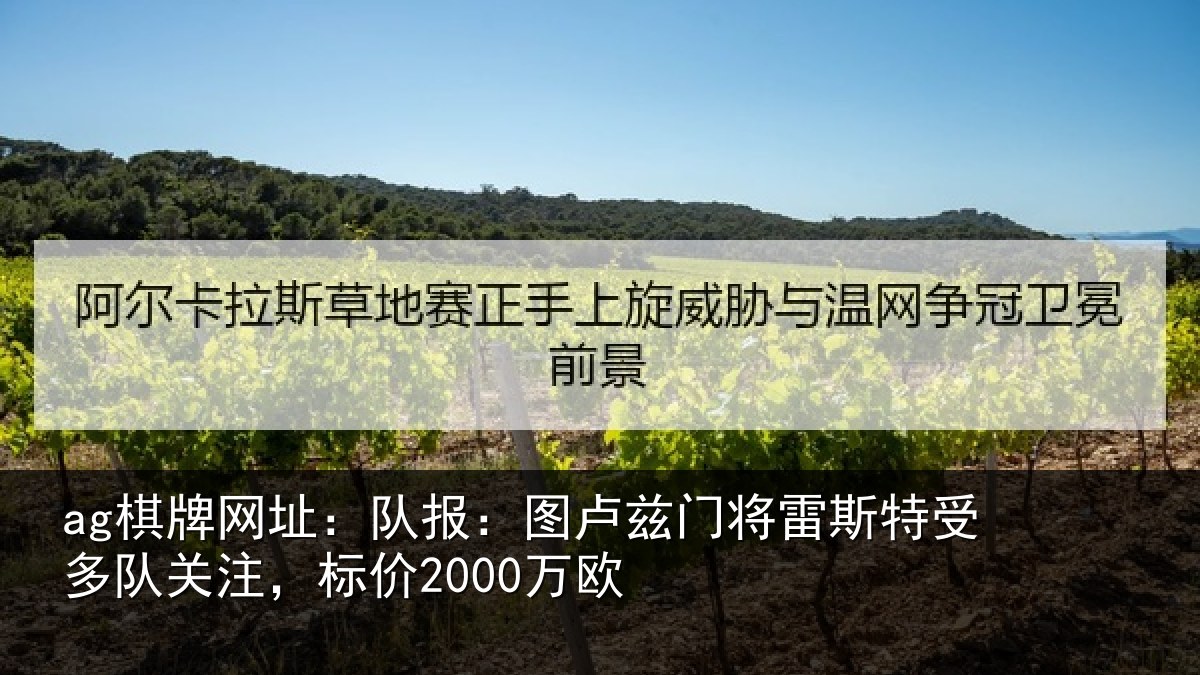 ag棋牌网址:队报:图卢相关情况队关注,标价2000万欧