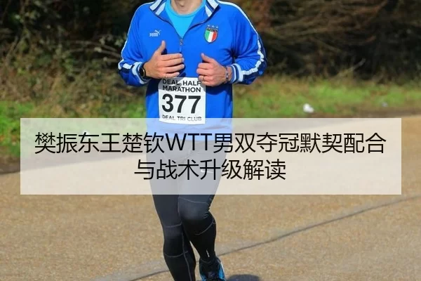 fan-zhen-dong-wang-chu-qin-nan-shuang-duo-guan-mo-qi-pei-he-yu-zhan-shu-sheng-ji-jie-du-3-606.jpg