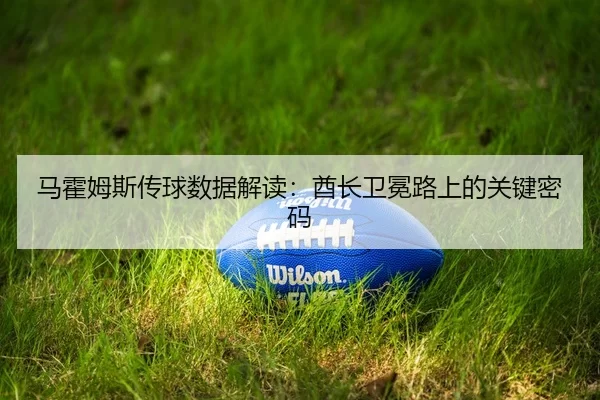 ma-huo-mu-si-chuan-qiu-shu-ju-jie-du-qiu-zhang-wei-mian-lu-shang-de-guan-jian-mi-ma-2-125.jpg