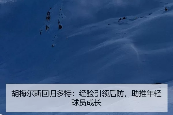 胡梅尔斯回归多特：经验引领后防，助推年轻球员成长