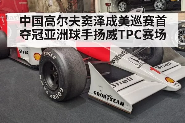中国高尔夫窦泽成美巡赛首夺冠亚洲球手扬威TPC赛场