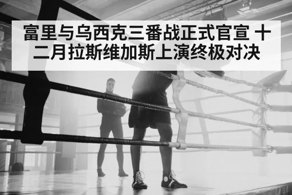 富里与乌西克三番战正式官宣 十二月拉斯维加斯上演终极对决